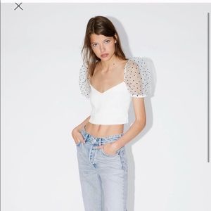 Zara Organza Sleeve Top